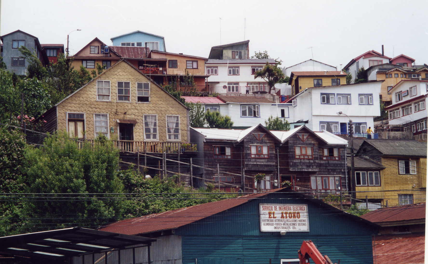 castrochiloe.jpg