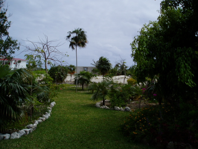 garden_walk.jpg